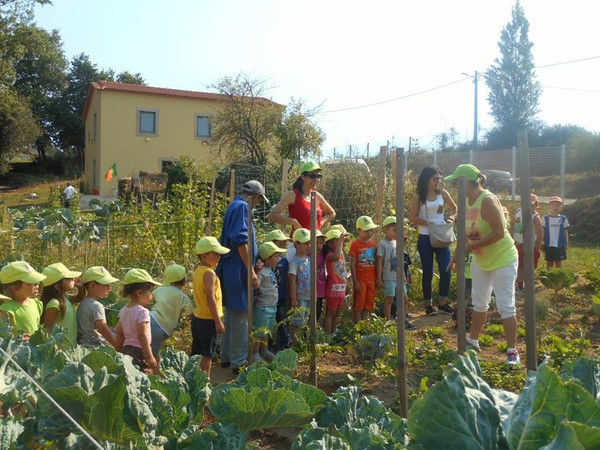 Hortas Casa dos Choupos