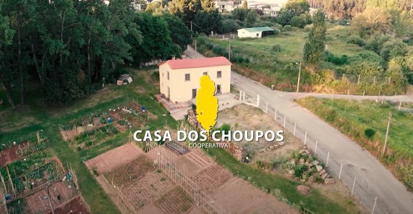 Casa dos Choupos