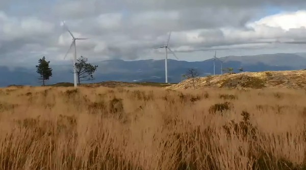 Sinfonia de Campos de Verão