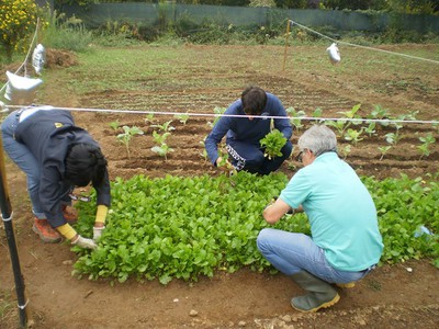 Projeto Chão Fértil 1