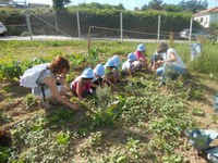 80 crianças do concelho visitaram as Hortas da Casa dos Choupos