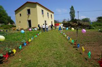 Tarde de cultivo de afetos no Dia Internacional da Família, na Casa dos Choupos
