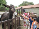 Visita Parque Biológico de Vila Nova de Gaia