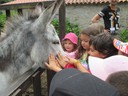 Visita Parque Biológico de Vila Nova de Gaia