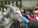 Visita Parque Biológico de Vila Nova de Gaia