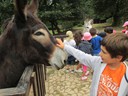 Visita Parque Biológico de Vila Nova de Gaia