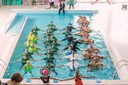 IMG 8538