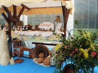 Foto Área Alimentar